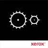 Xerox Genuine Transfer Roller 115R00126
